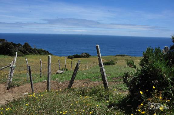 O cenário bucólico do noroeste da ilha de Chiloé, no sul do Chile